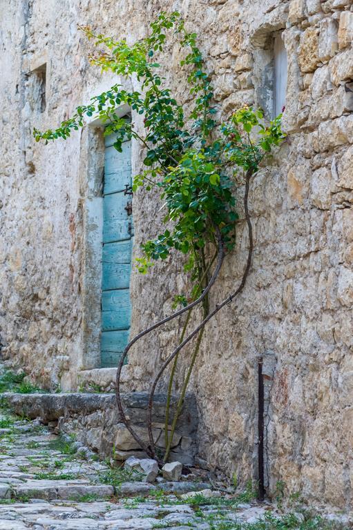 Aparthotel Castrum Novum Novigrad Istria Eksteriør billede